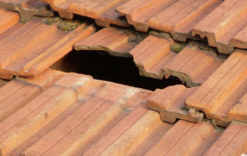 roof repair Staple Lawns, Somerset